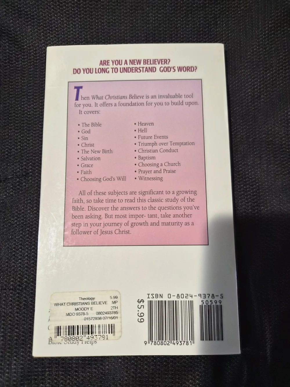 What Christians Believe Paperback Book - Pink/Purple Cover
